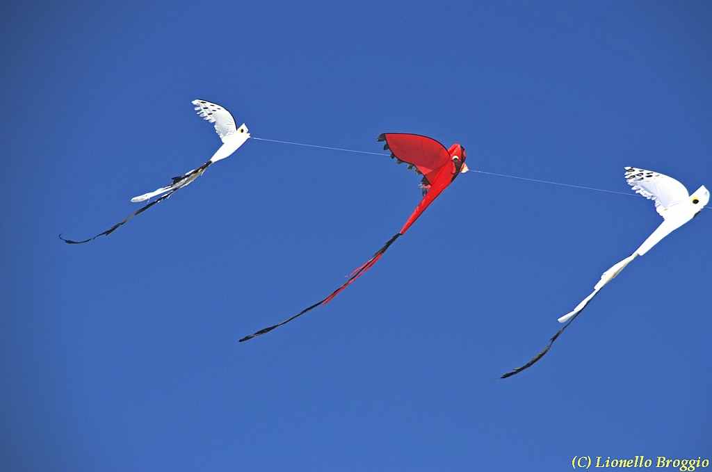 32 FESTIVAL CERVIA 2012 - 209.jpg
